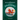 The Magnificent Book of Dragons