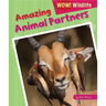 Amazing Animal Partners