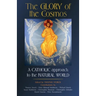 The Glory of the Cosmos: A Catholic Approach to the Natural World