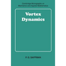 Vortex Dynamics