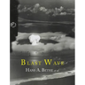 Blast Wave