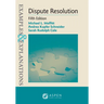 Examples & Explanations for Dispute Resolution