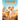 Daisy the Dingo Dog