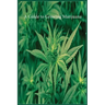 A Guide to Growing Marijuana