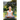 Yogini: Ageless Women, Timeless Tradition