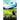 When the Crow Sings