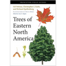Trees of Eastern North America