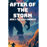 After the Storm