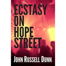 Ecstasy on Hope Street: A Christian Novel