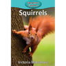 Squirrels