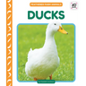 Ducks