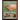 Capybaras Photos and Facts for Everyone: Animals in Nature