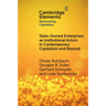 State-Owned Enterprises as Institutional Actors in Contemporary Capitalism and Beyond