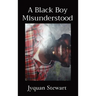 A Black Boy Misunderstood