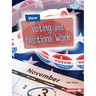 How Voting and Elections Work
