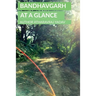 Bandhavgarh At a Glance
