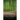 Pathways Through the Forest