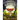 The Hidden World of Gnomes