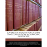 Sovereign Wealth Funds: New Challenges from a Changing Landscape