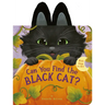 Can You Find the Black Cat?: With Flaps to Lift!