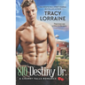 810 Destiny Dr.: A High School Friends to Lovers Romance