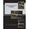 The Cheviot Sheep