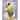 The Conure Code