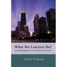 What Do Lawyers Do?: An Ethnography of a Corporate Law Firm