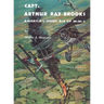 Captain Arthur Ray Brooks: America's Quiet Ace of World War I