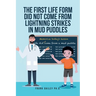 The First Life Form Did Not Come from Lightning Strikes in Mud Puddles