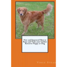 New and Improved How to Raise and Train your Golden Retriever Puppy or Dog