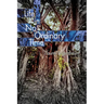 Life in No Ordinary Time