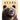 Bears: Amazing Pictures & Fun Facts on Animals in Nature