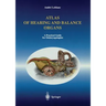 Atlas of Hearing and Balance Organs: A Practical Guide for Otolaryngologists