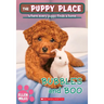 Bubbles and Boo (the Puppy Place #44): Volume 44