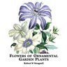 Flowers of Ornamental Garden Plants