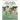 Latin America 2020-2022
