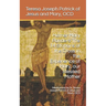 Mother Mary Ponders The 14 Stations of the Cross in the Experience of Mary, our Blessed Mother: Meditations by Sr. Teresa Joseph Patrick of Jesus and