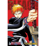 Bleach (3-In-1 Edition), Vol. 1: Includes Vols. 1, 2 & 3