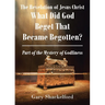 The Revelation of Jesus Christ: What Did God Beget That Became Begotten? Part of the Mystery of Godliness
