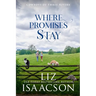 Where Promises Stay: A Sweet Opposites Attract Cowboy Romance