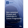 Non-canonical Kinases and Substrates in Cancer Progression