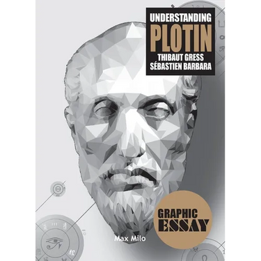 Understanding Plotin