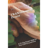 TRANSforming Prayer: A 31-Day Prayer Walk for Your LGBTQ Loved One