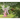 The Mystical World of Magical Neighbors