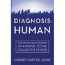 Diagnosis: Human: The Mental Health System As a Portal to the Collective Psyche