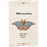 Metamorphosis