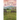 Somewhere Along the Way