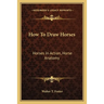 How To Draw Horses: Horses In Action, Horse Anatomy