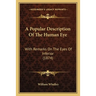 A Popular Description Of The Human Eye: With Remarks On The Eyes Of Inferior (1874)
